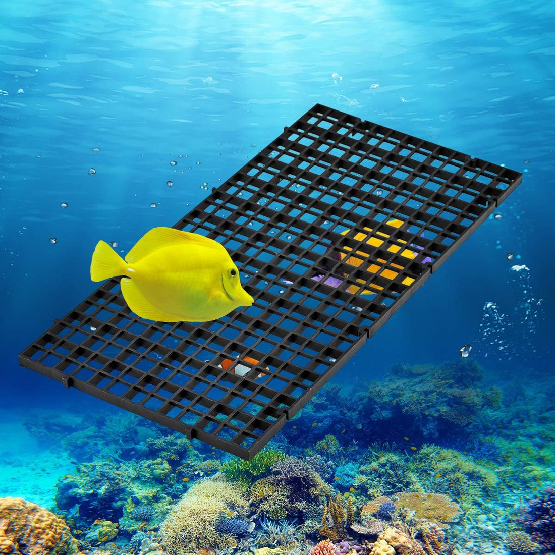 WEAVERBIRD 2 Pcs Aquarium Divider Tray Plastic Grid Divider Tray Egg