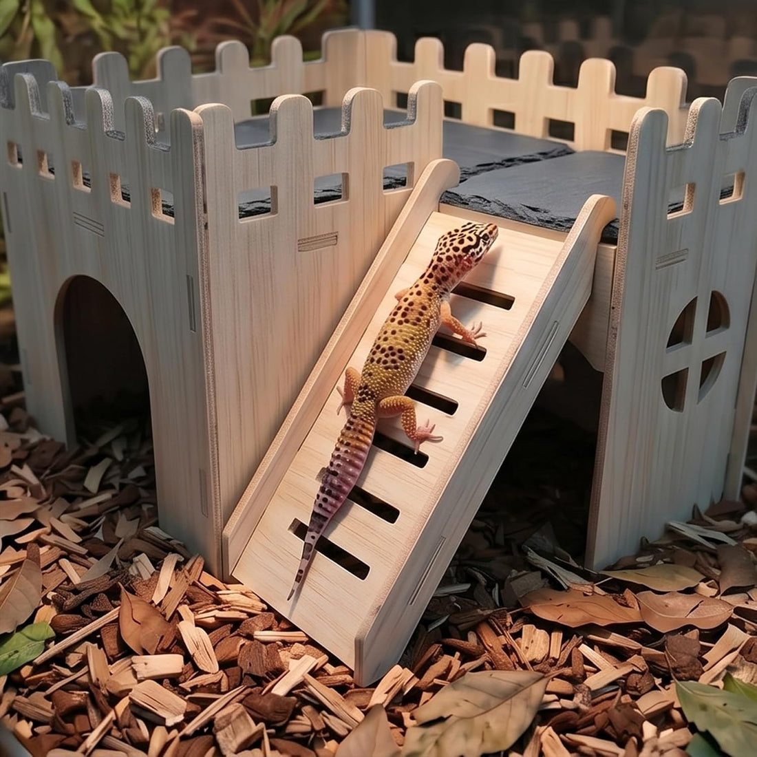 Bearded Dragon Hide Cave Basking Platform
