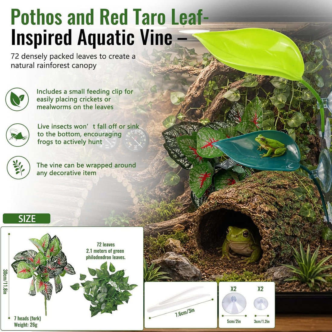 Frog Tank Accessories Set – Complete Tree Frog Habitat Kit