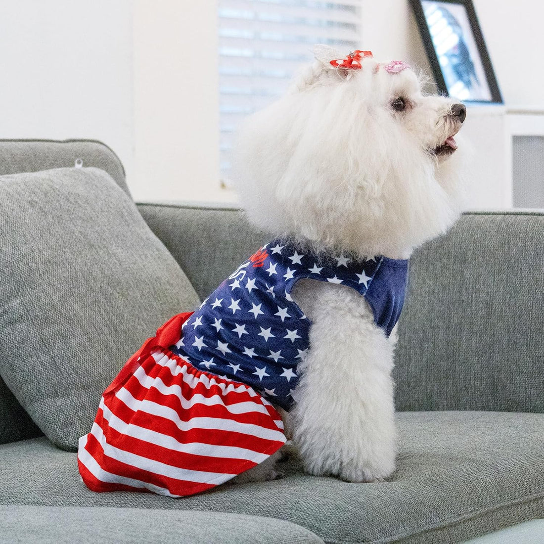 CuteBone Dog Dresses Velvet 4th of July Small Dogs Clothes Onesie Pet