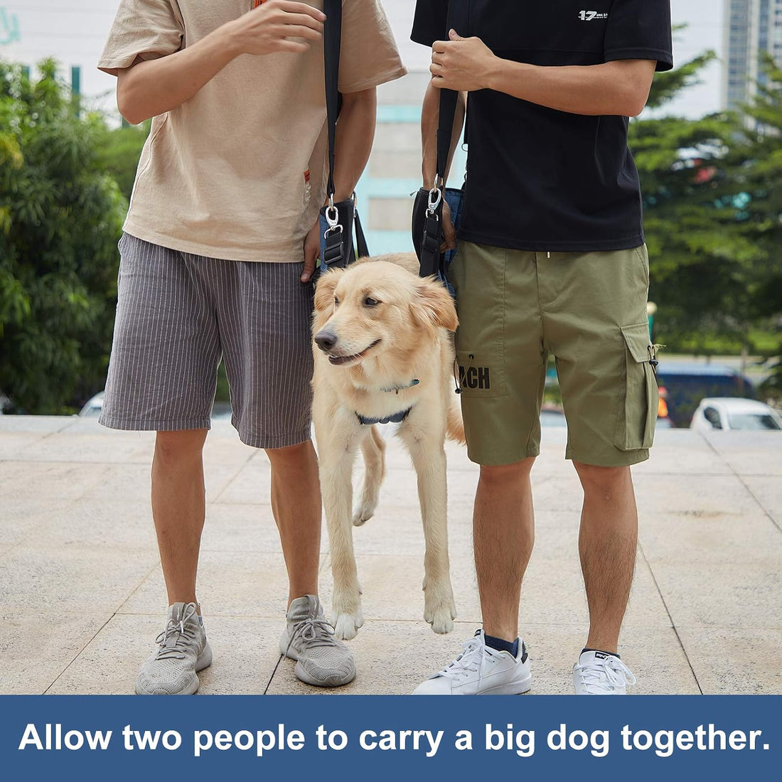 COODEO Dog Carry Sling, Emergency Backpack Pet Legs Support