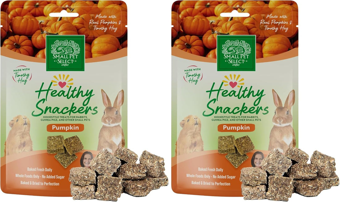 Small Pet Select - Healthy Snackers - Pumpkin