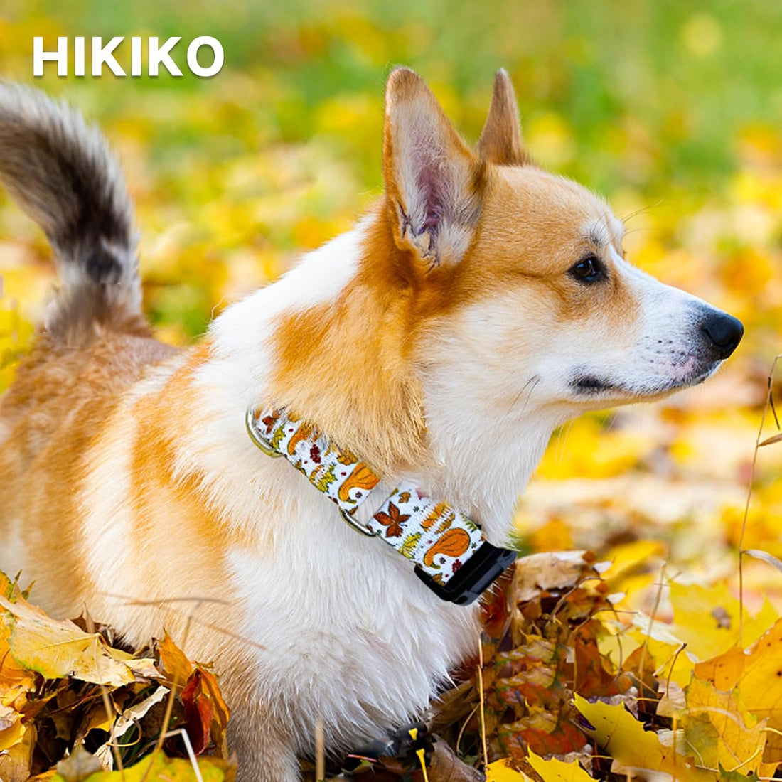 Hikiko Martingale Collar for Dogs with Halloween Pattern,Adjustable,L