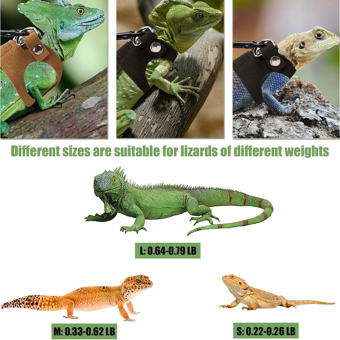 KABASI 3 Size Adjustable Bearded Dragon Harness Leash Set