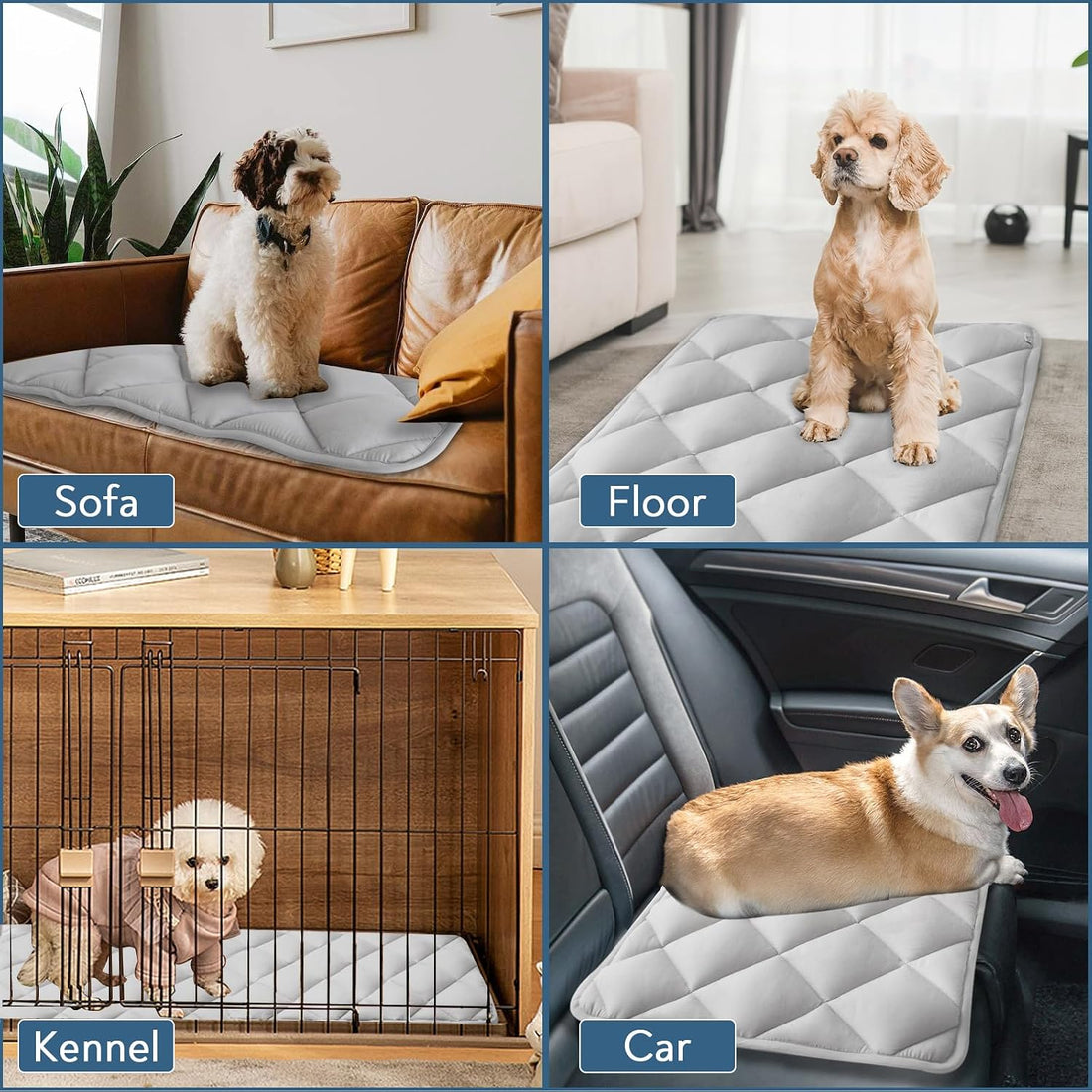 Magik & Kover Dog Crate Pad 2 Pack