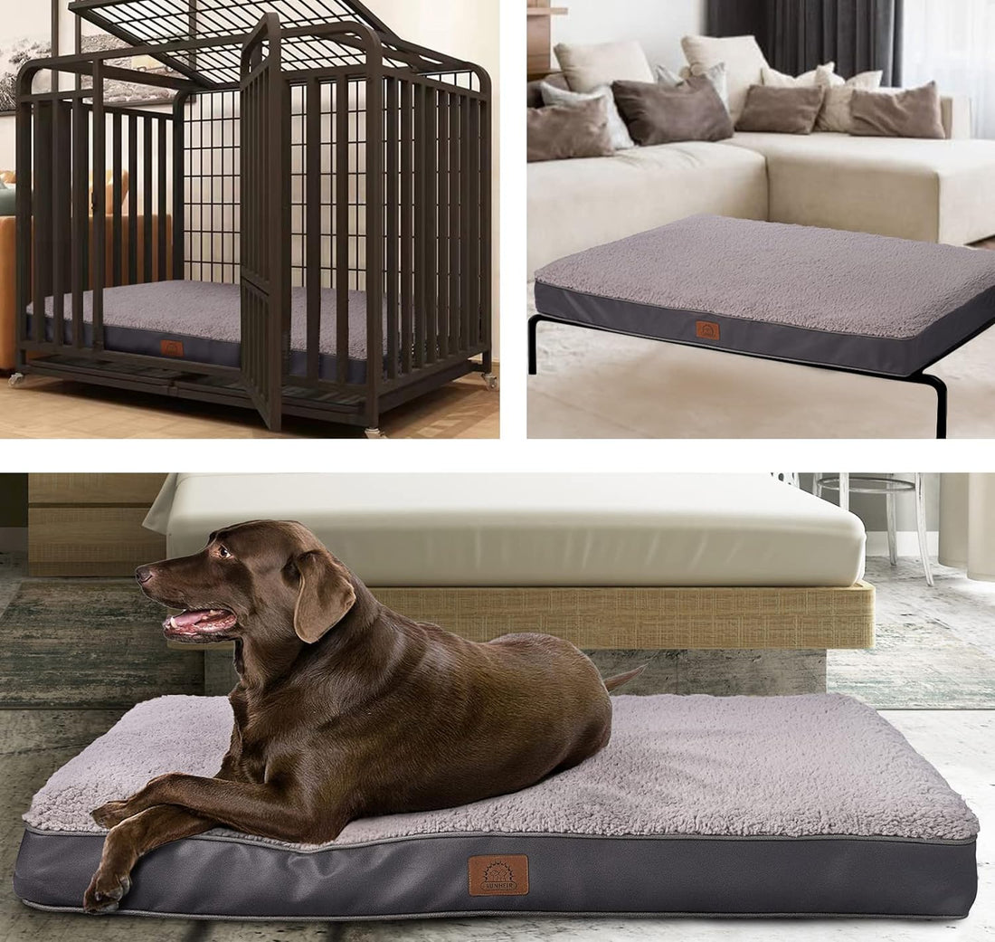 Sunheir Orthopedic Dog Bed for Large Dogs