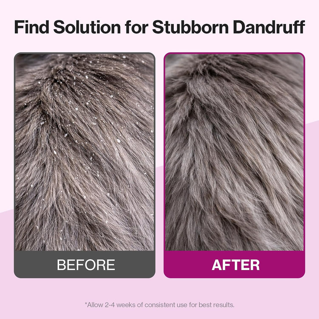 Doctor By Cat Silk Derma Skin and Coat Supplement for Cats Itch Skin
