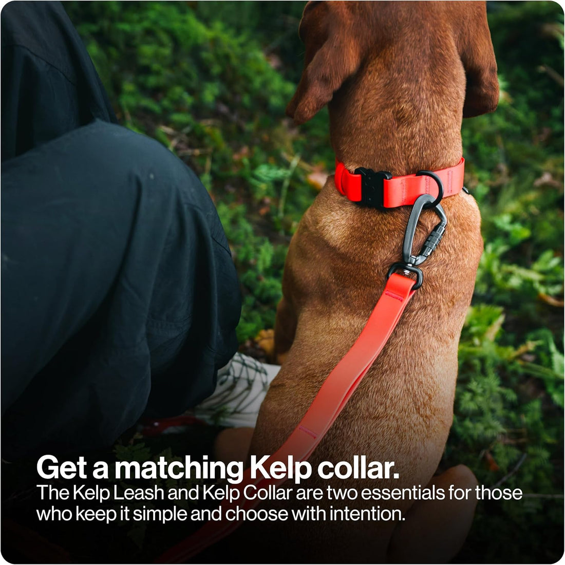 Säker Kelp™ Waterproof Dog Leash – Heavy Duty, Odor-Proof