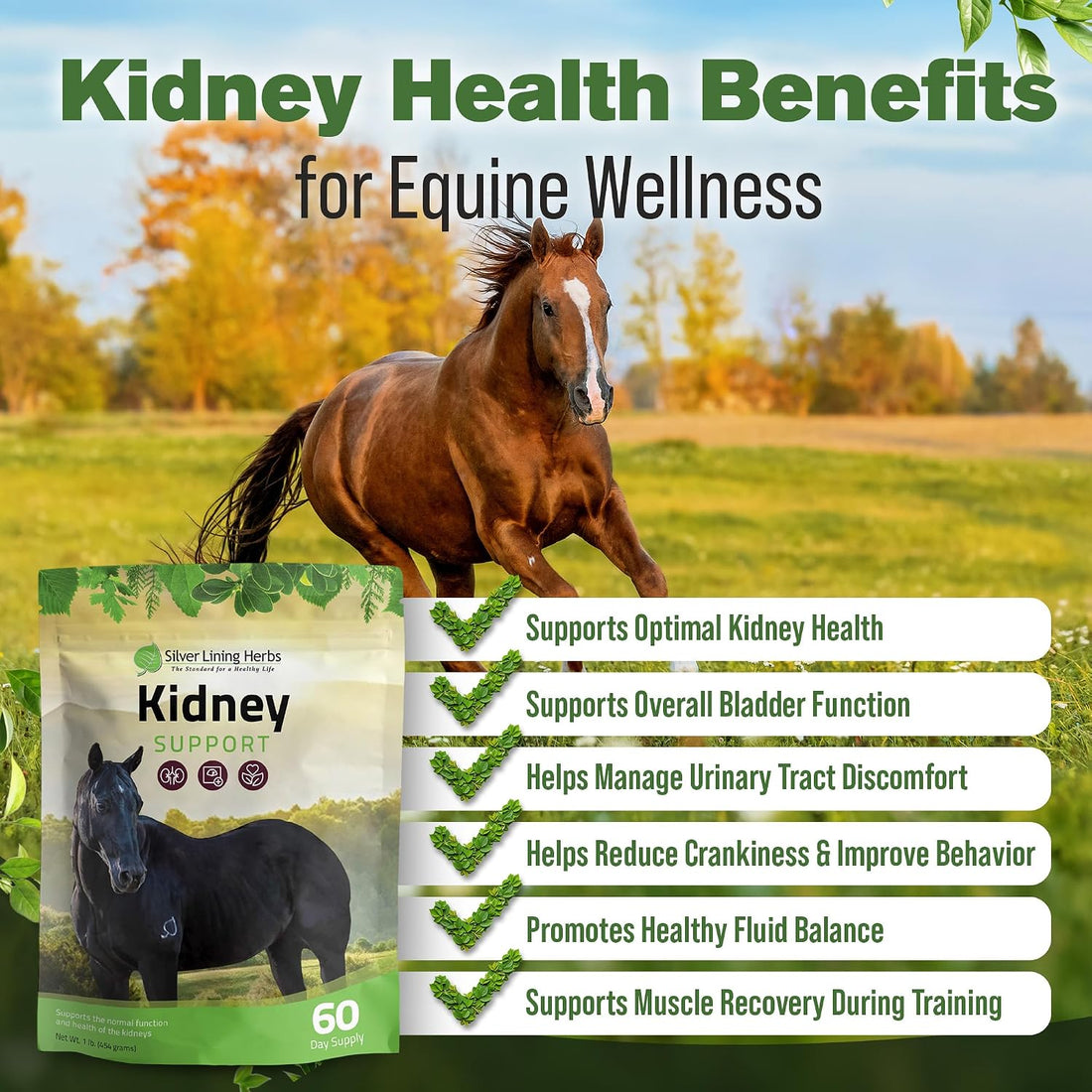 Silver Lining Herbs Kidney Support Supplement for Horses - 1 lb