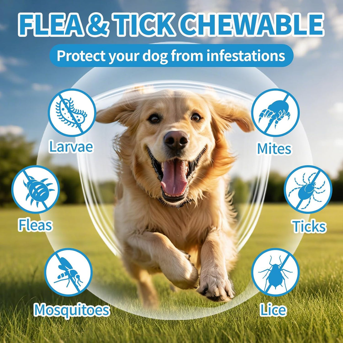 Flea and Tick Prevention for Dogs Chewables 200Ct