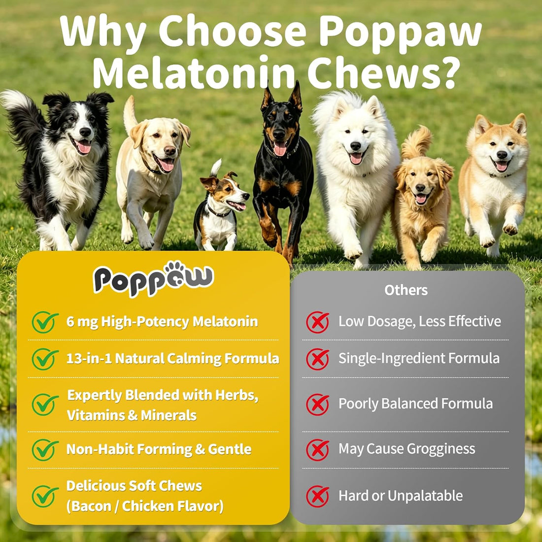 Melatonin for Dogs - Dog Calming Chews for Sleep & Emotional Support