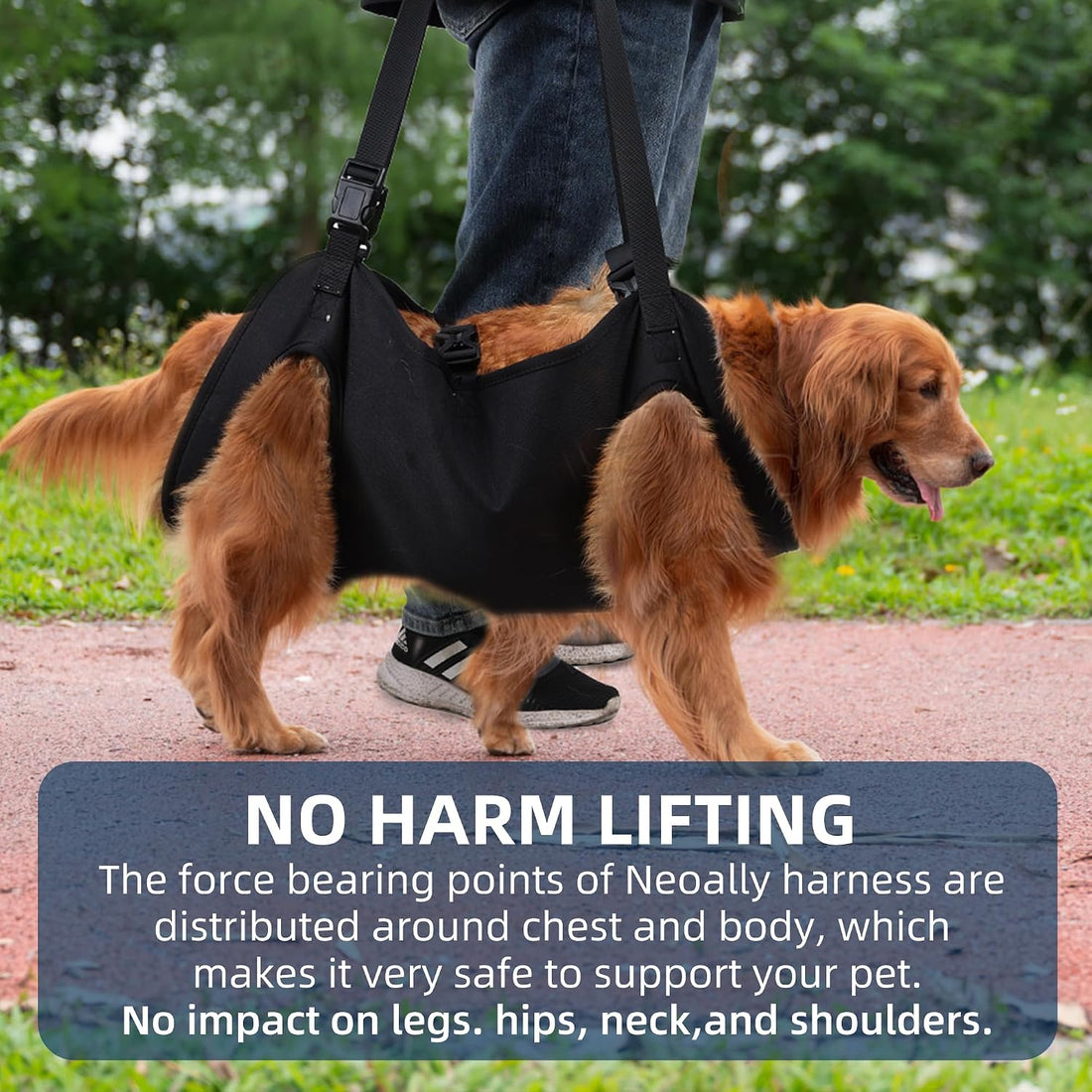 Full Body Lift Harness for Dogs,Canine Support Rehabilitation Dog