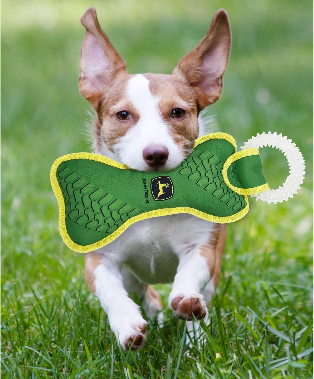 JohnDeere Goat Plush Toy for Dogs and Cats with Squeaker