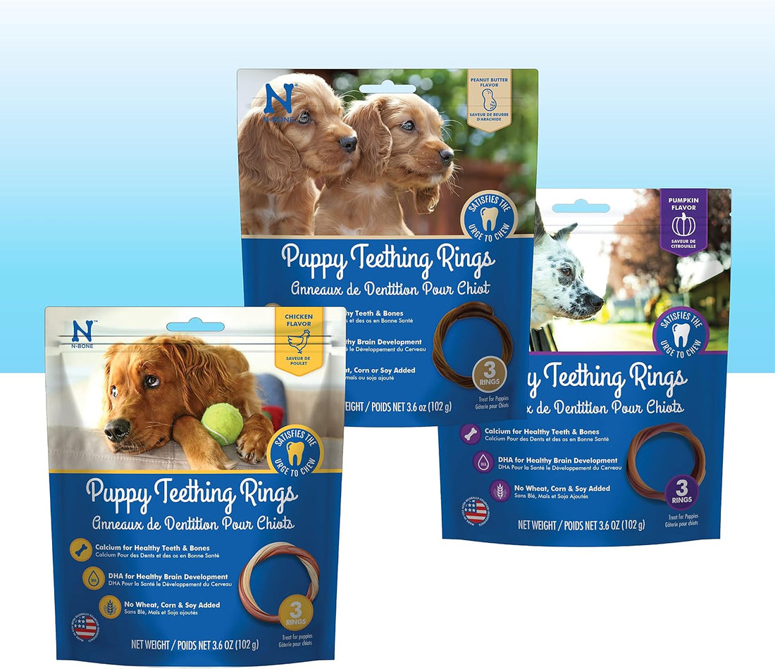 N-Bone Puppy Teething Sticks Variety Pack