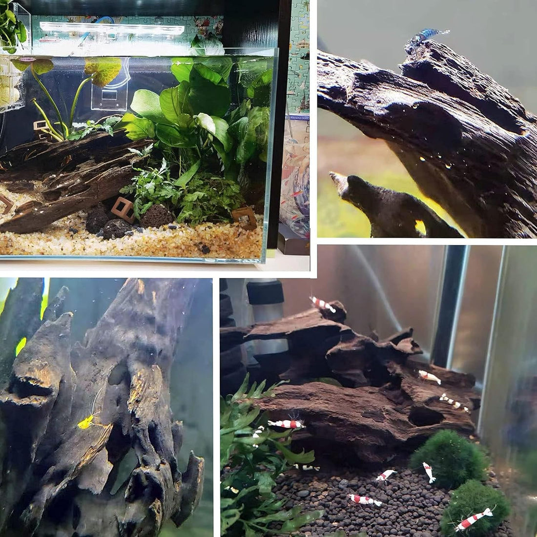 kathson Aquarium Large Driftwood Natural Wood Assorted Branches Fish