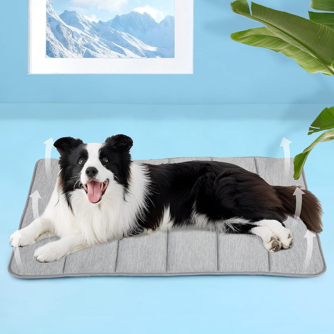 Dog Cooling Mat for Large Dogs, 35"x23" Memory Foam Pet Pad