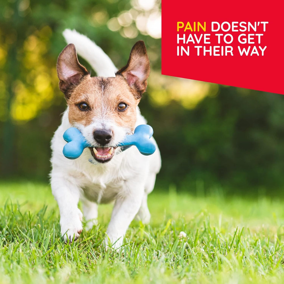 T-Relief Pet Pain Relief Arnica +12 Powerful Natural Medicines Help