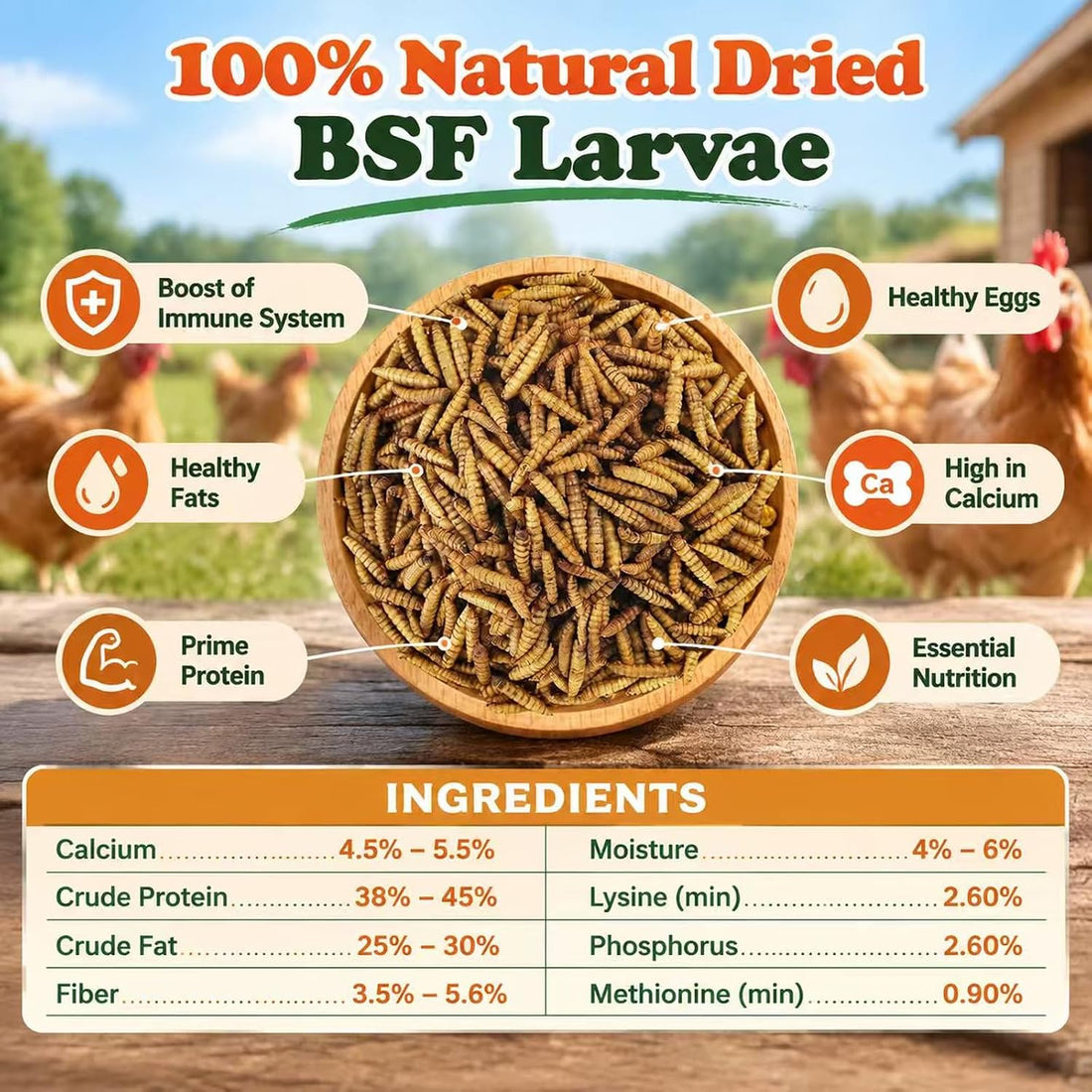 Amzey 11 LB Dried Black Soldier Fly Larvae