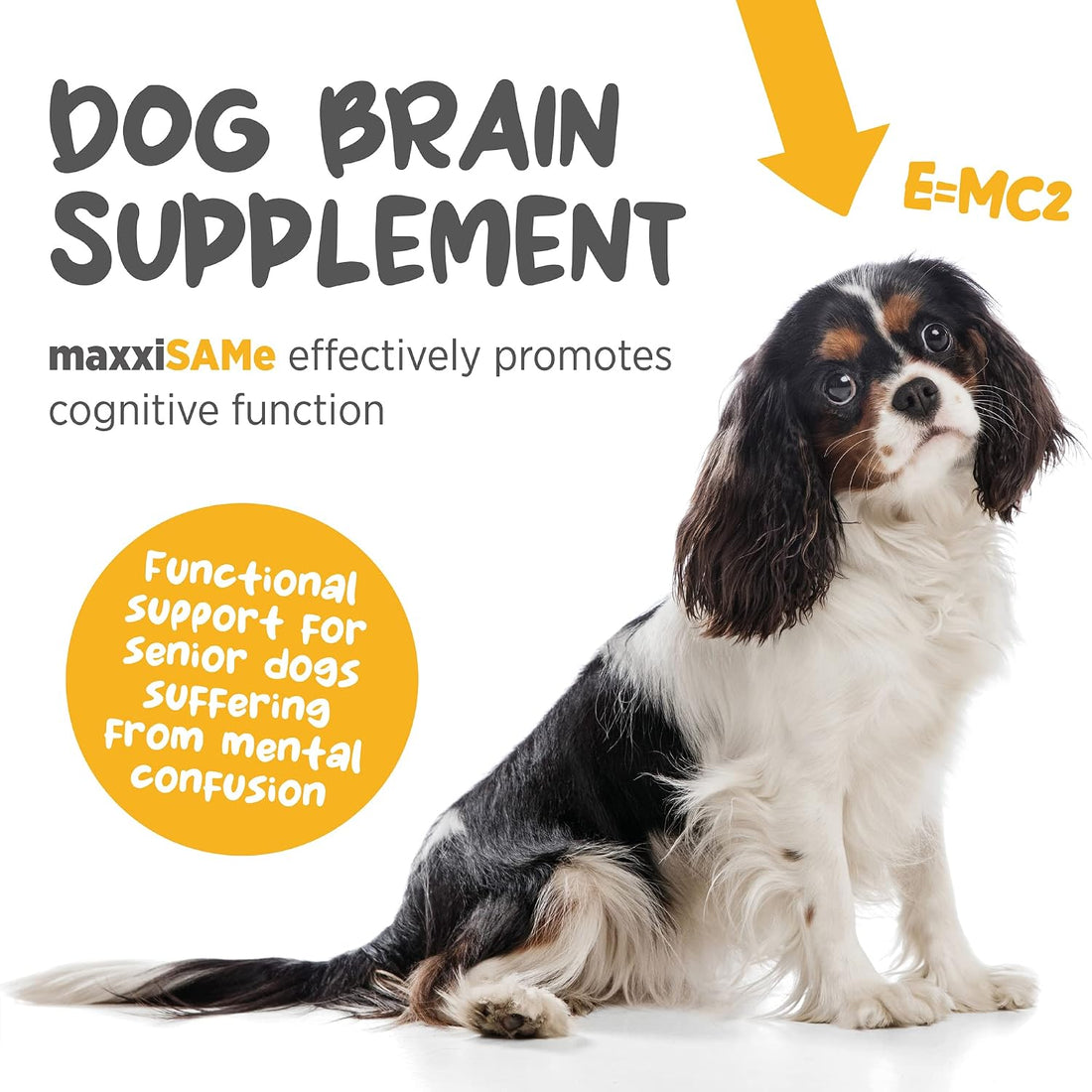 maxxipaws maxxiSAMe Advanced SAM-e Powder Supplement - Liver