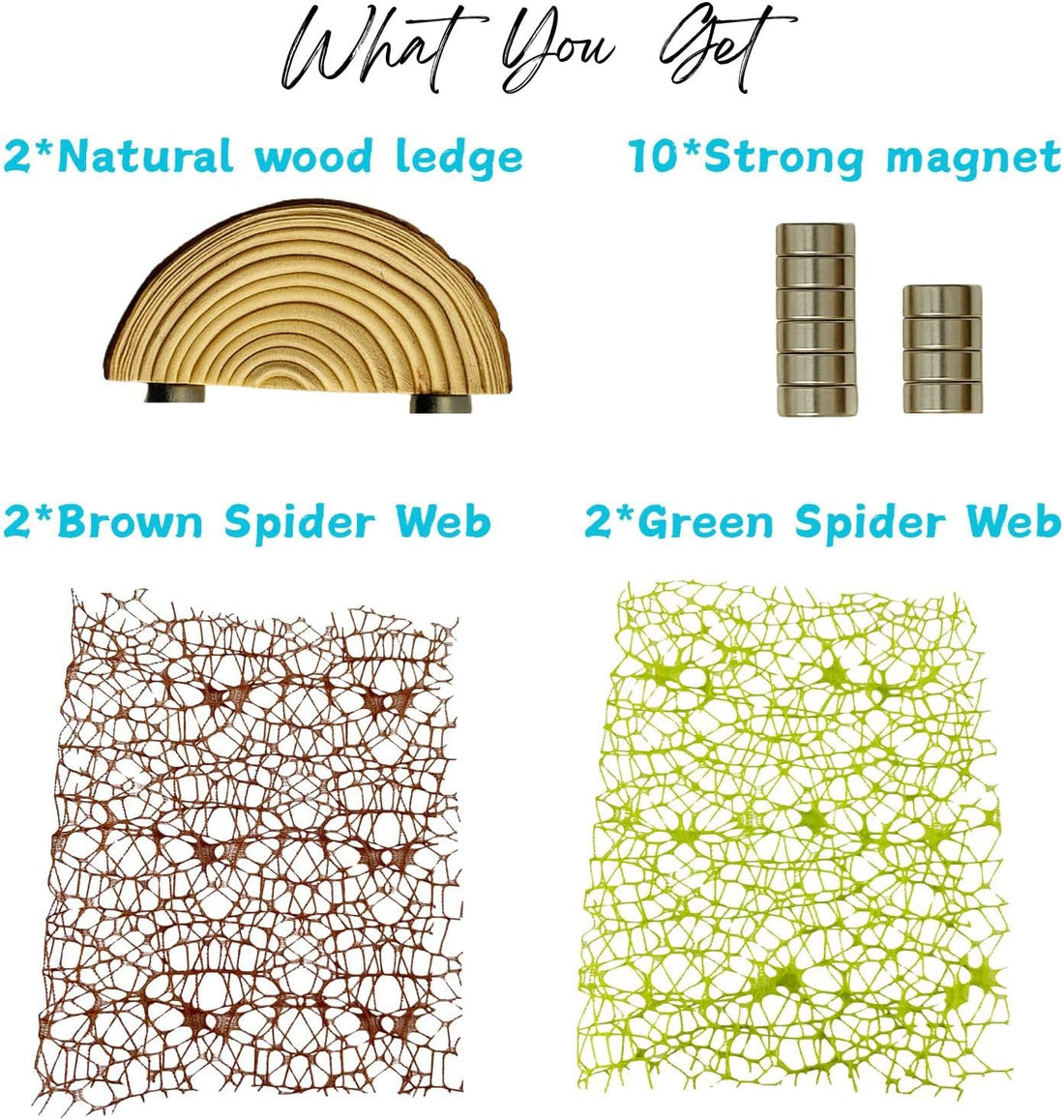 Jumping Spider Enclosure Accessories - 2 Wood Ledges & 4 Climbing Webs