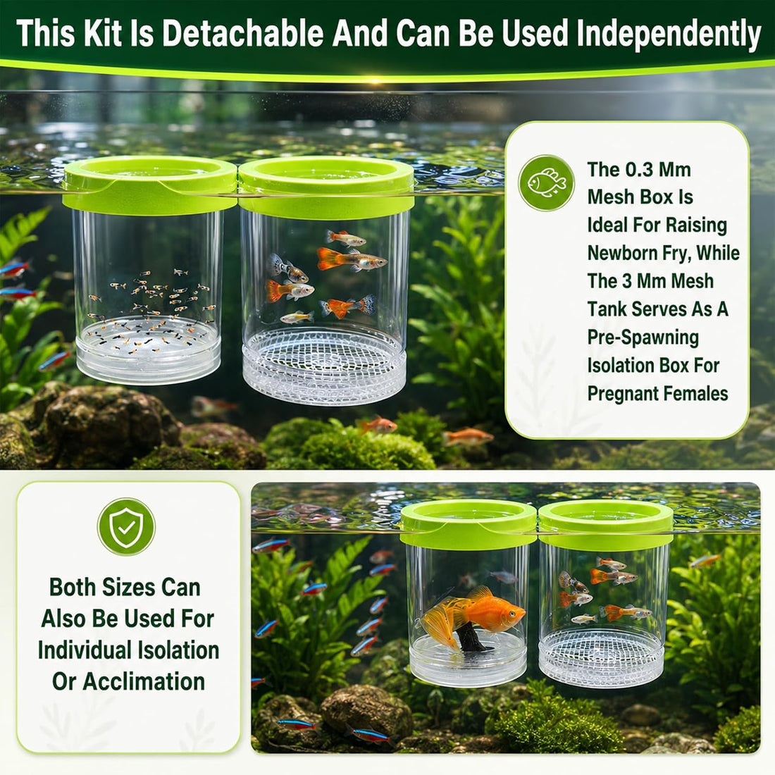 2-Piece Set Fish Breeder Box for Fish Tank Aquarium Breeding Box Large