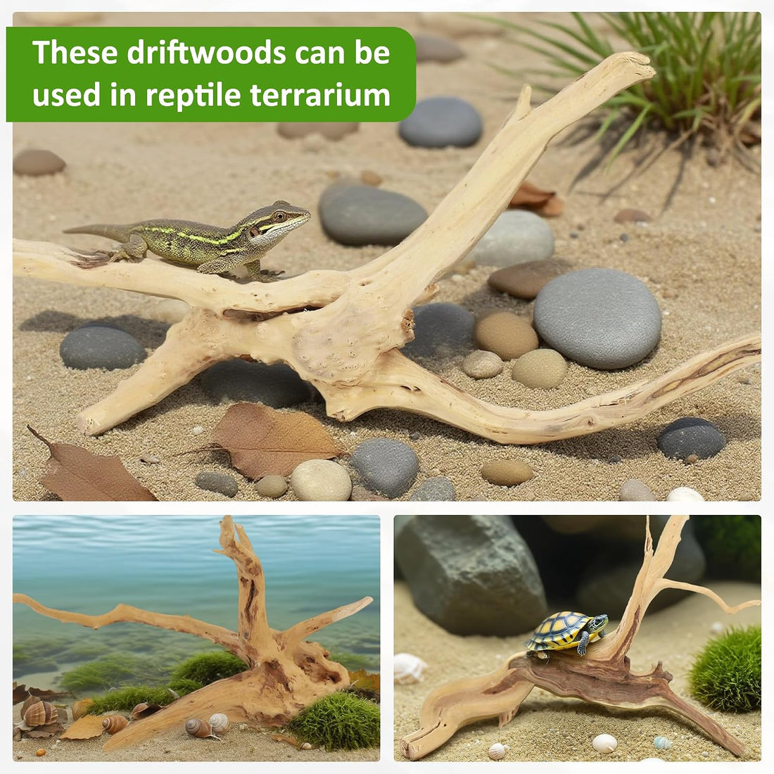 8 Pcs Natural Spider Woods, 4-8 Inch