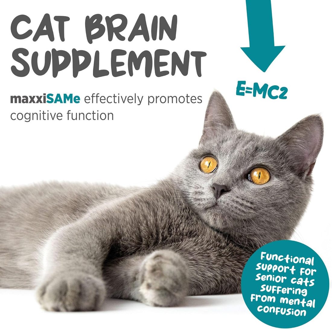 maxxipaws maxxiSAMe SAM-e for Cats