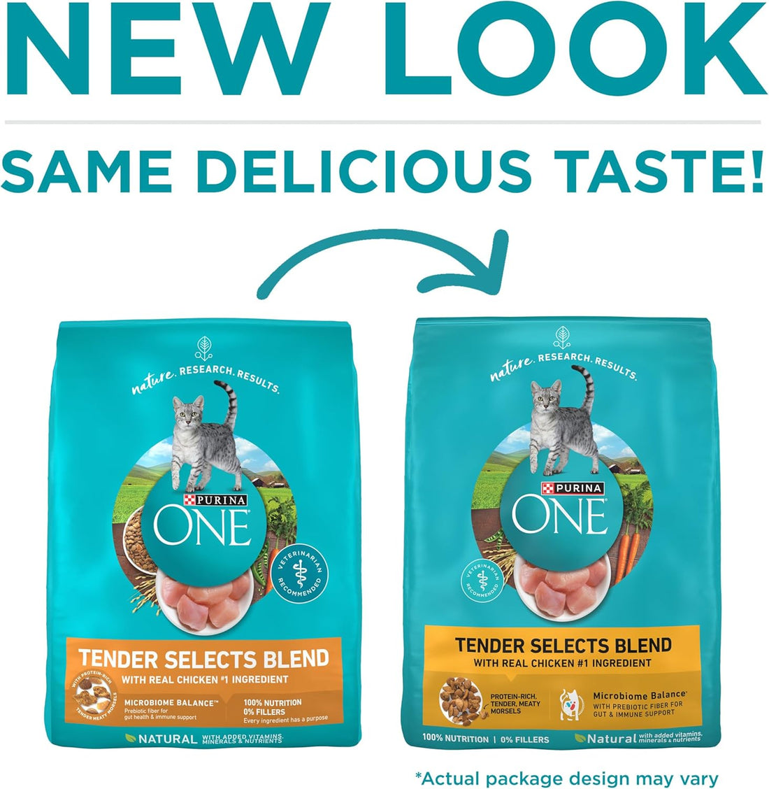 Purina ONE Natural Dry Cat Food