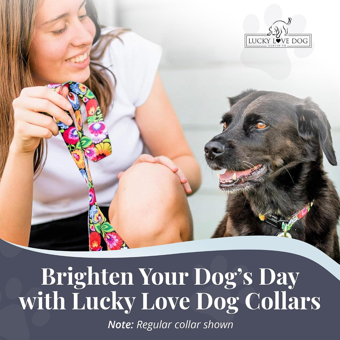 Lucky Love Dog Martingale Collar for Medium Dogs Cute – Blackbird
