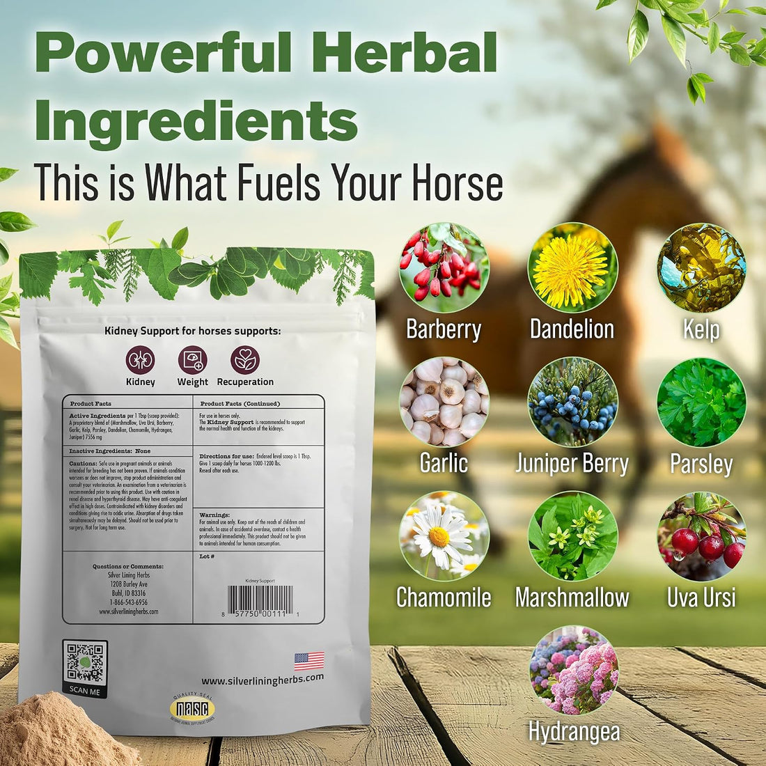 Silver Lining Herbs Kidney Support Supplement for Horses - 1 lb