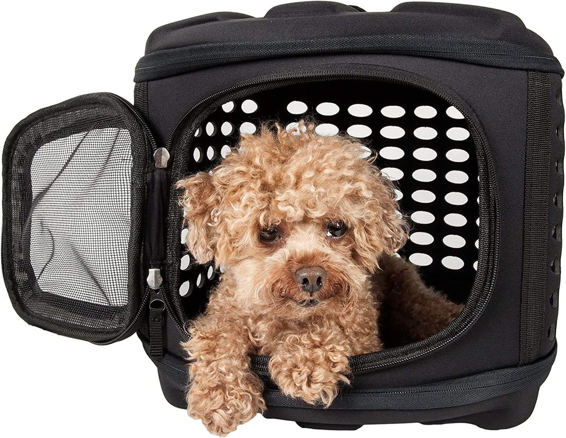Collapsible Cat Carrier Hard