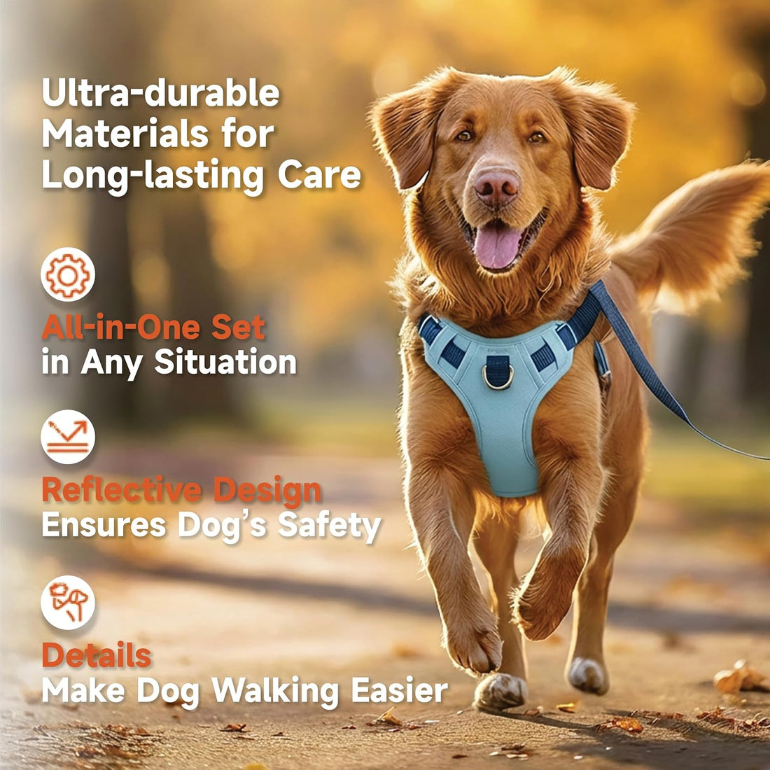 Dog Harness and Leash Set with Collar