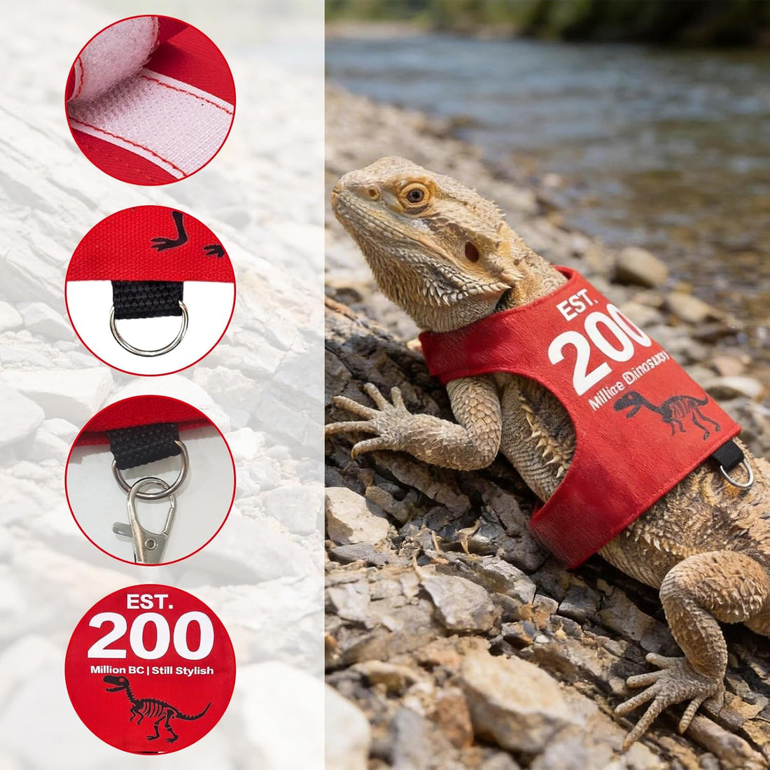 Bearded Dragon Harness and Leash Set