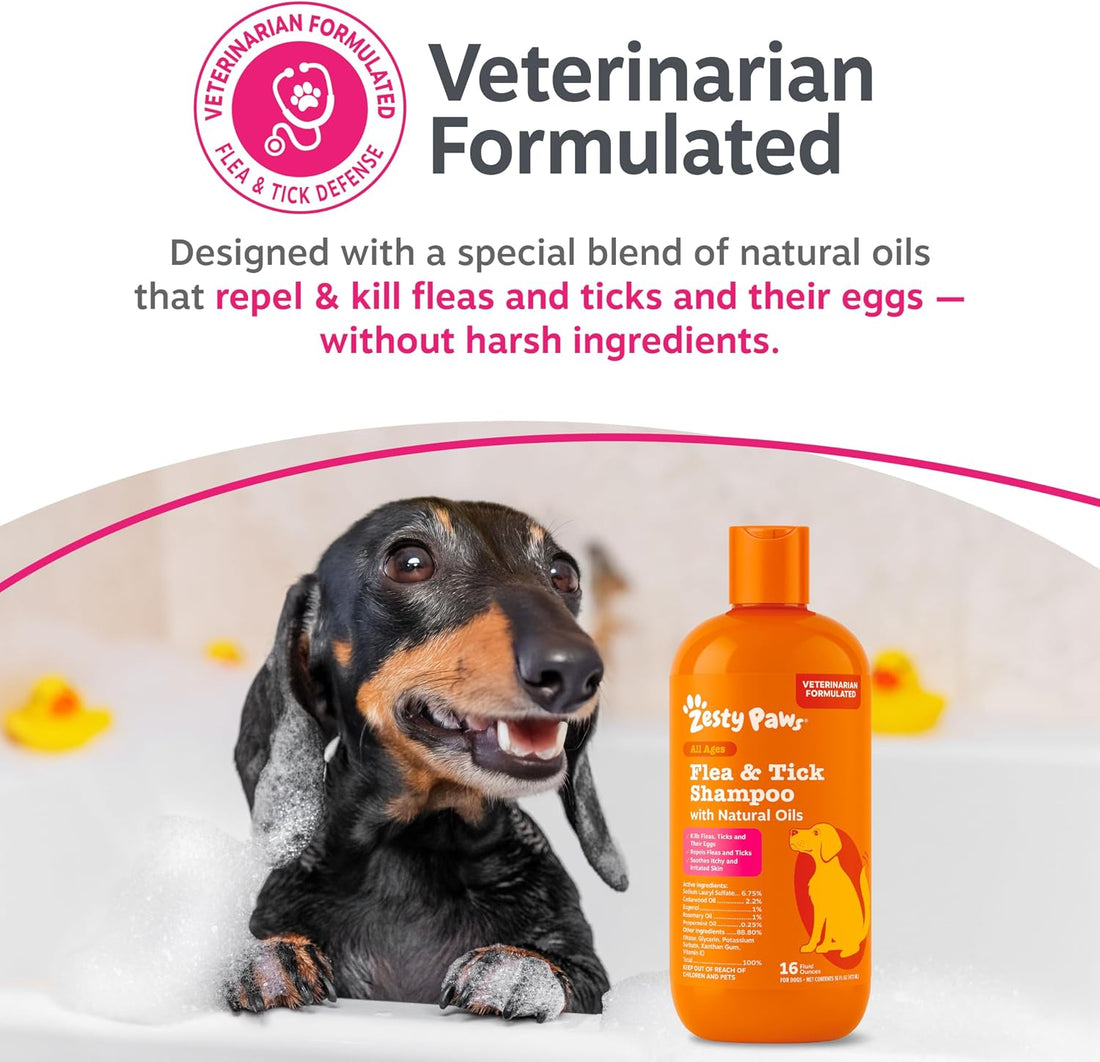 Zesty Paws Flea and Tick Shampoo for Dogs