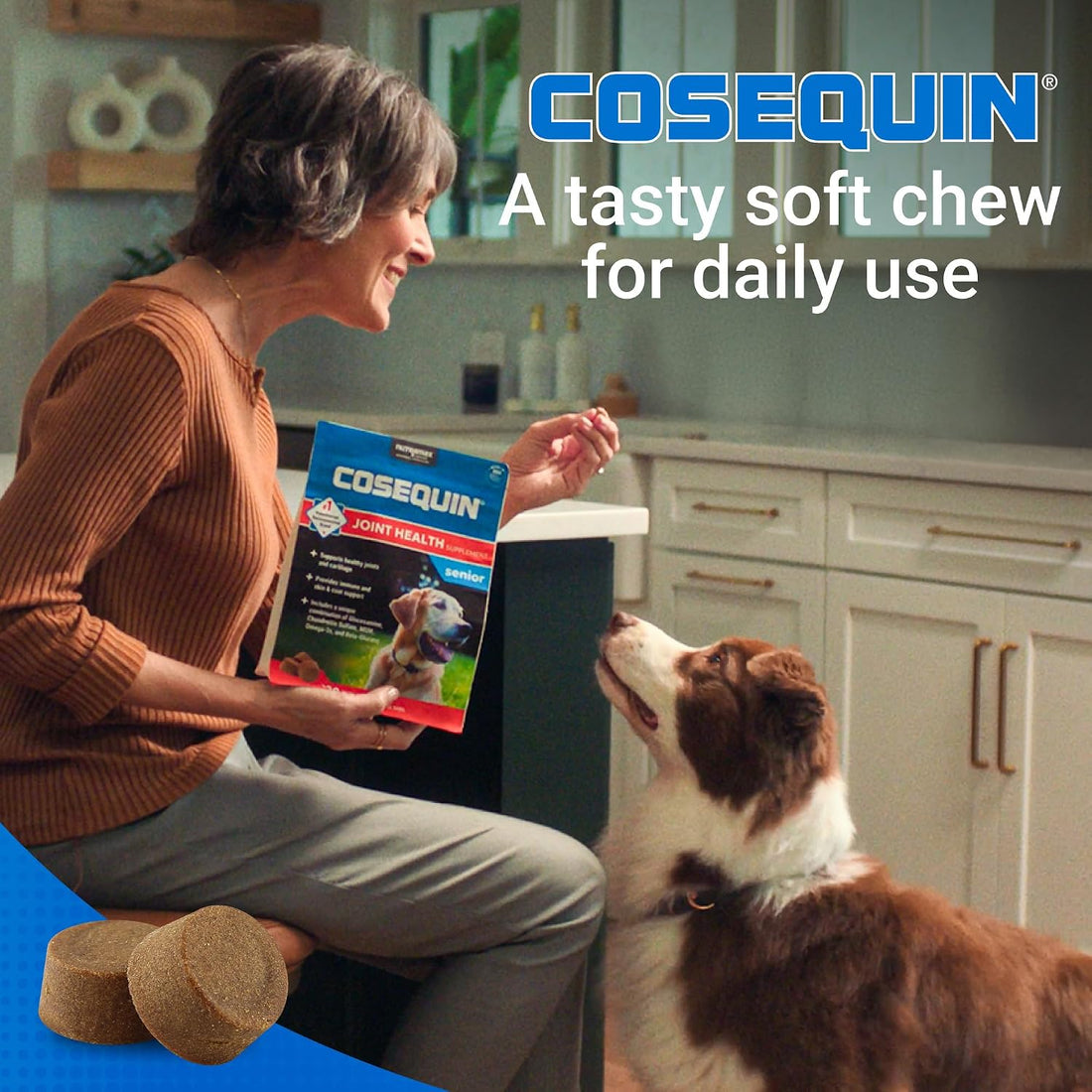 Nutramax Cosequin for Senior Dogs Joint Health Supplement
