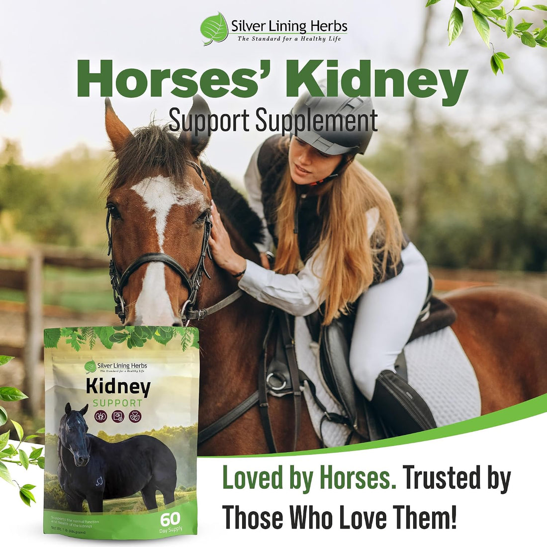 Silver Lining Herbs Kidney Support Supplement for Horses - 1 lb