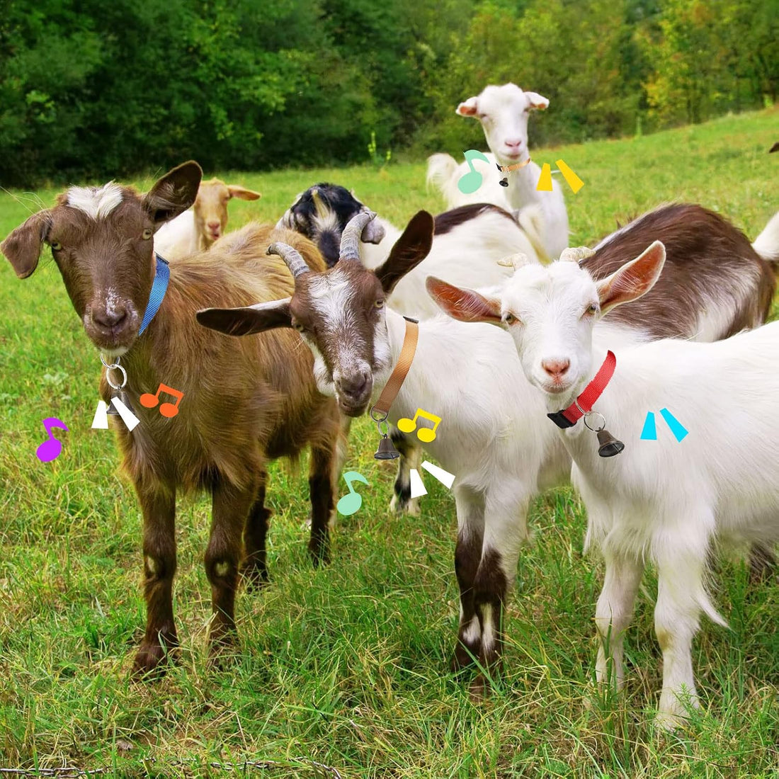 Jexine 12 Sets Goat Collars with Bells Anti-Lost Grazing Pet Collar