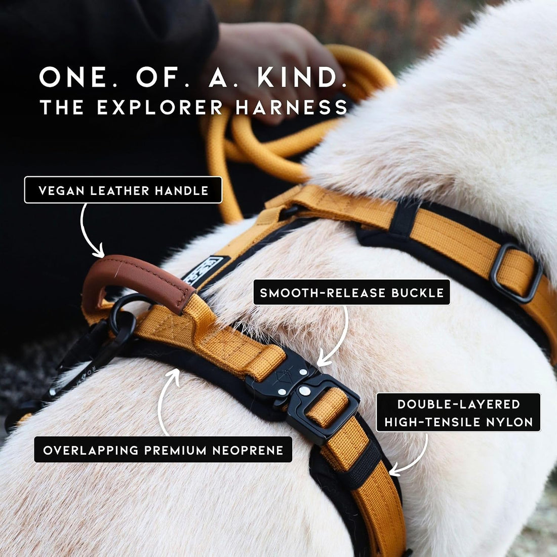 MADE TO ROAM Premium Explorer Harness