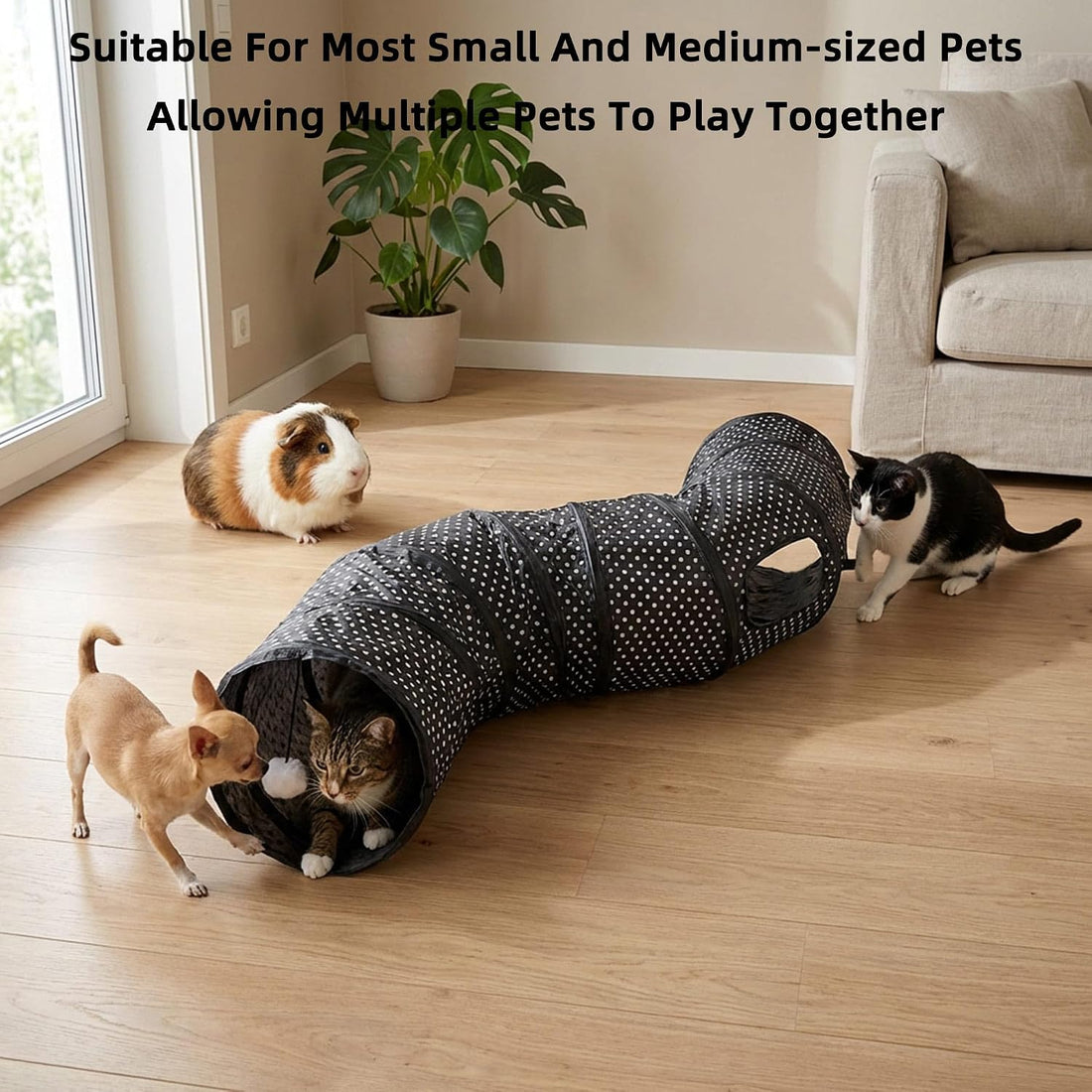 Cat Toy Tunnel Collapsible