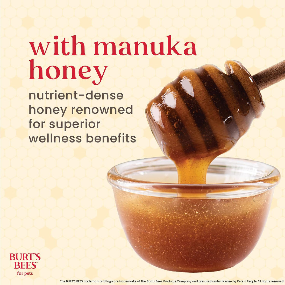 Burt's Bees Manuka Honey Fresh Mint Dog Dental Kit, 2.5 Oz