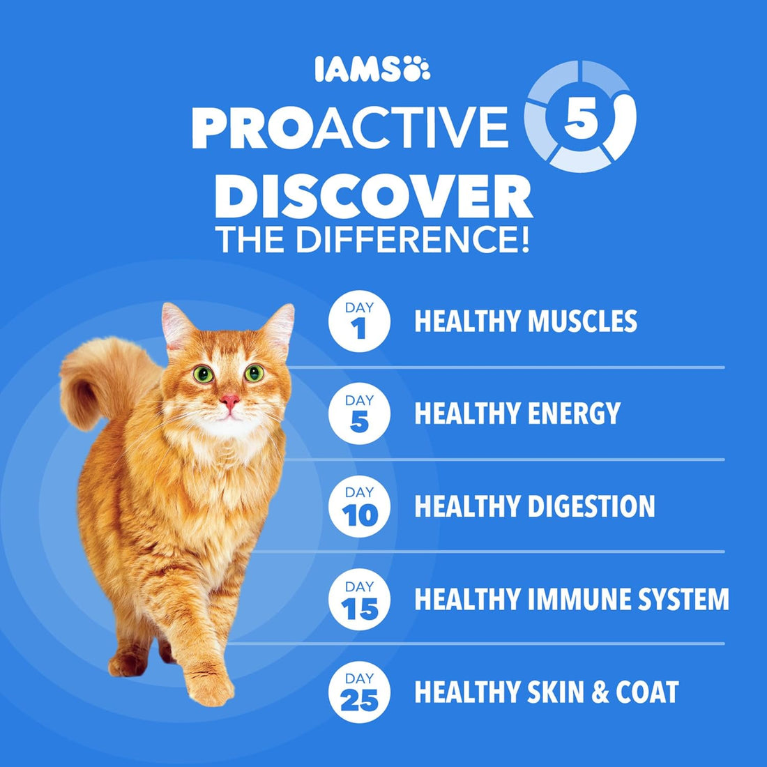 IAMS Healthy Enjoyment Dry Cat Food, Chicken & Salmon Recipe, 3 lb