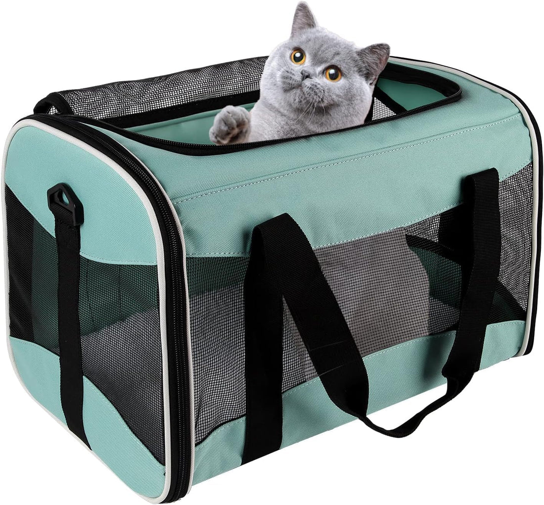 Small Animal Travel, Carrier for Hedgehog Rat Parrot Bird Guinea Pig