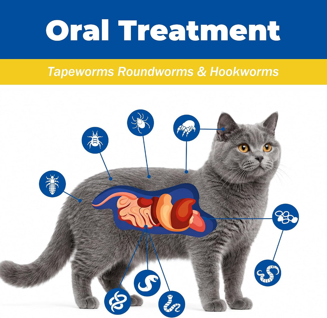 Broad-Spectrum Dewormer - Tablets for Cats & Dogs