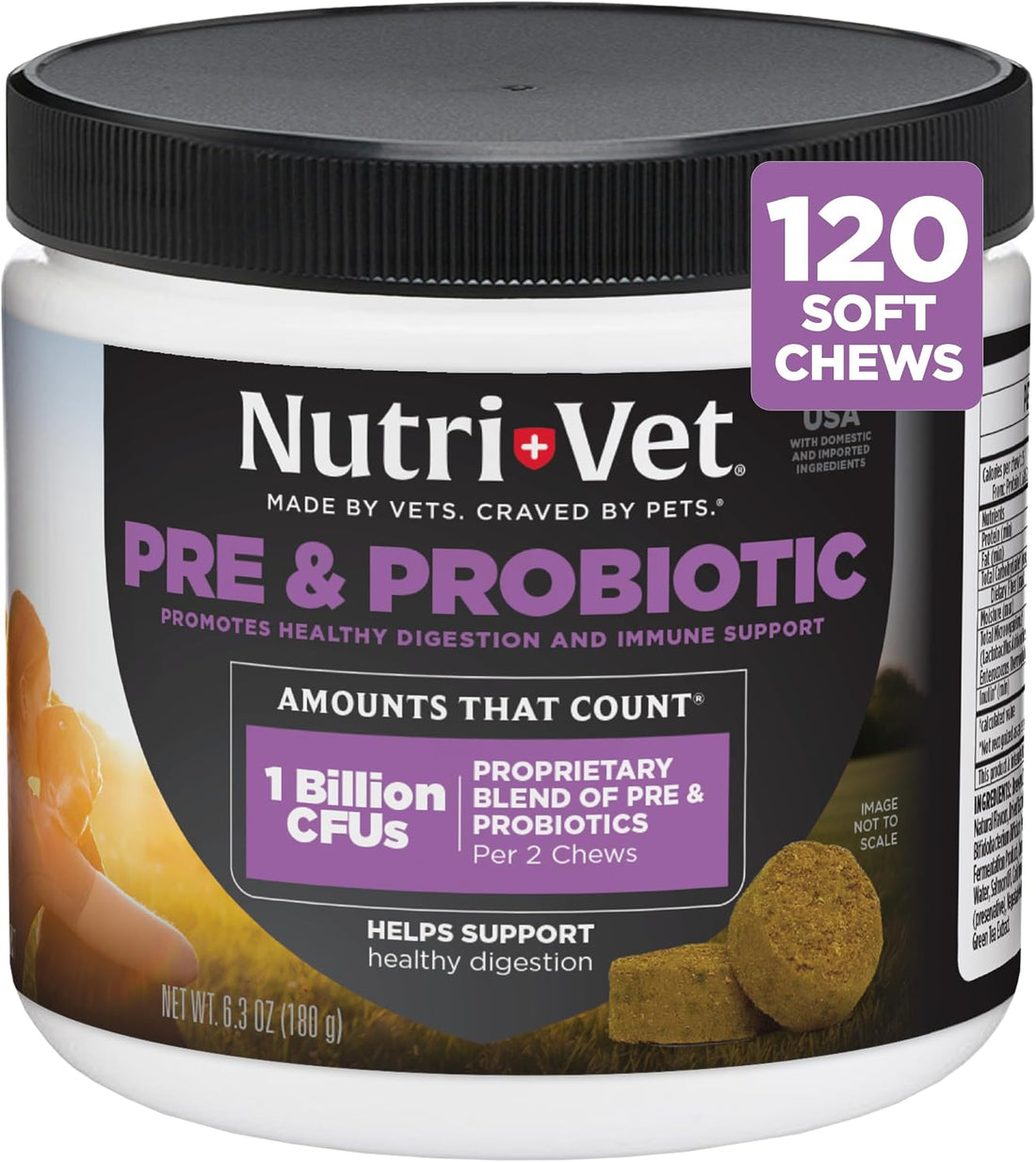 Nutri-Vet Pre & Probiotics for Dogs, Digestive Support, Upset Stomach