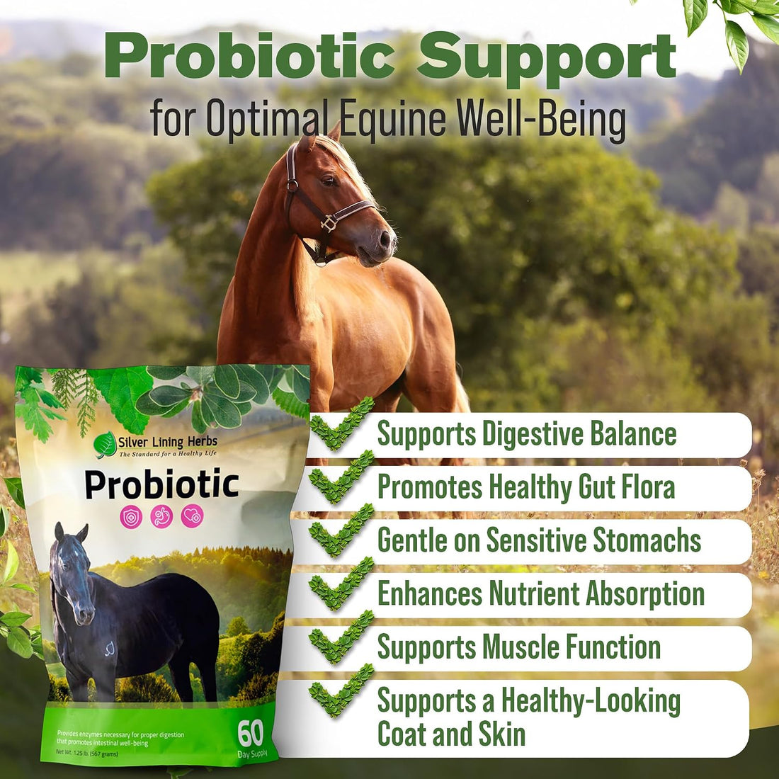 Silver Lining Herbs Horse Probiotics Digestive Supplement - 1.25 lb
