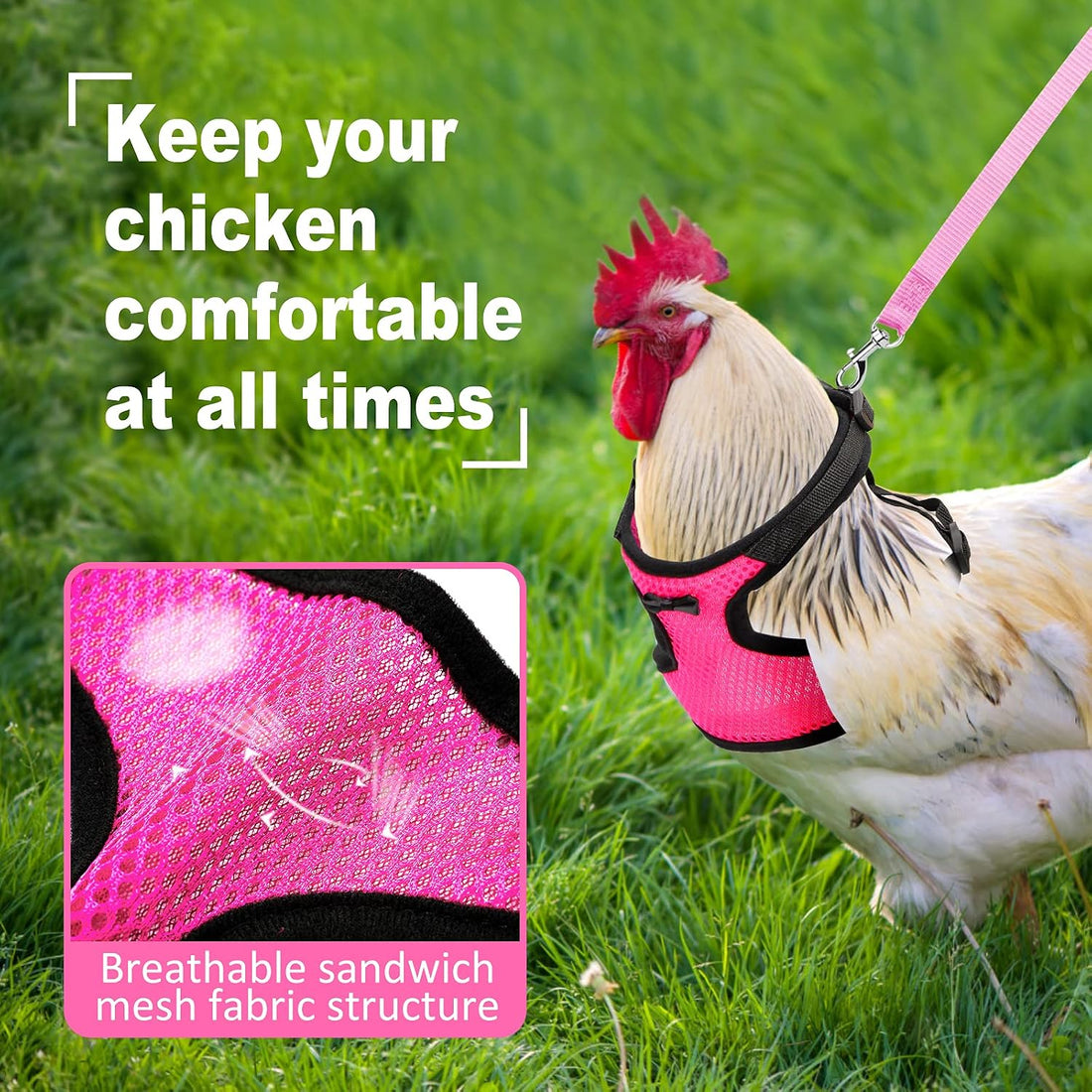 Adhafera Chicken Harness with Leash