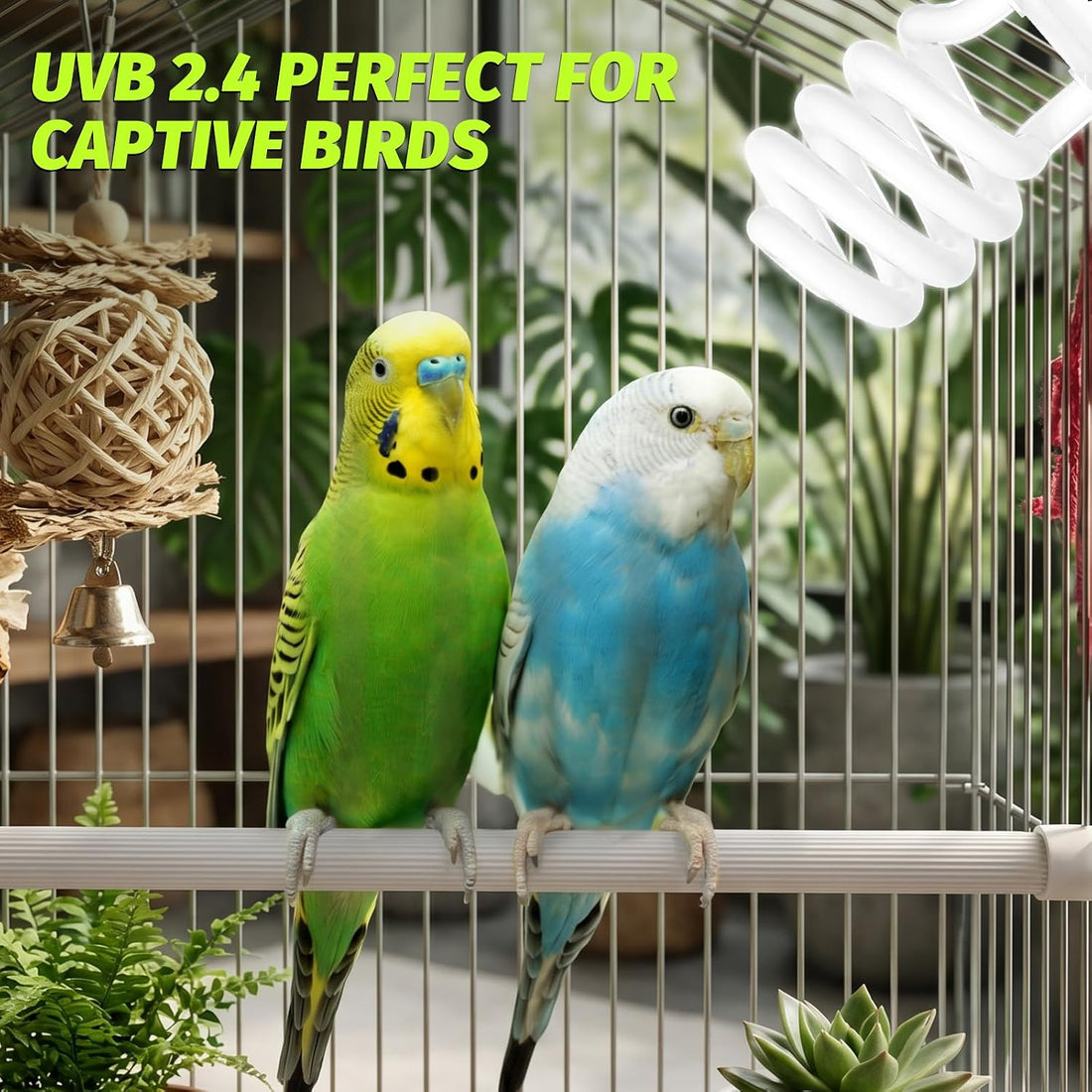 GlowUp UVB 2.4 Bird Light 23W, UVA UVB E26 Bird Cage Light for Birds