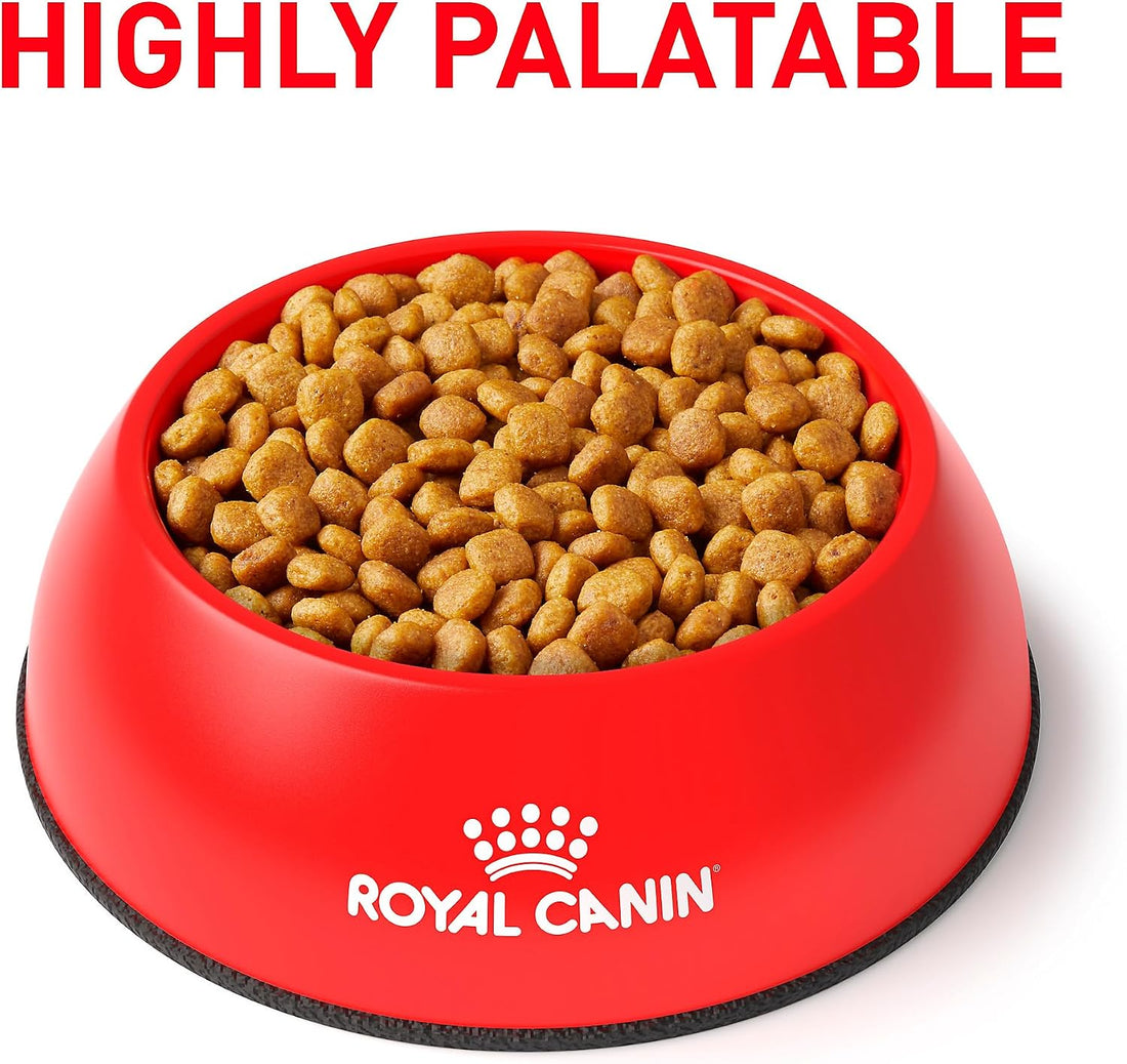 ROYAL CANIN Veterinary Diet Canine Urinary SO Adult Dry Dog Food