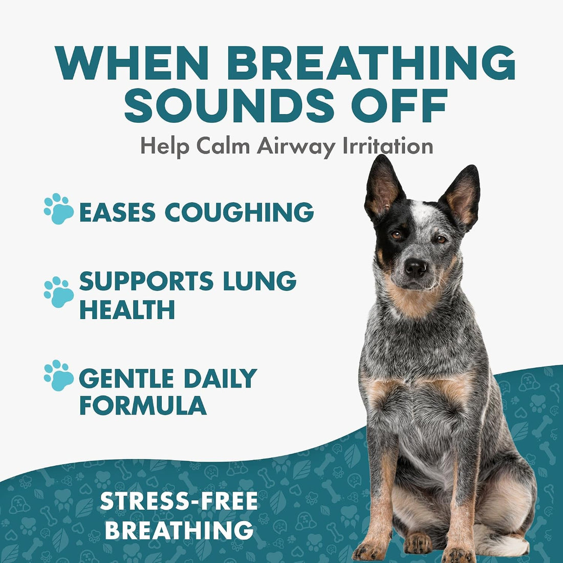 BestLife4Pets Breathe Easy Natural Cough Relief for Dogs