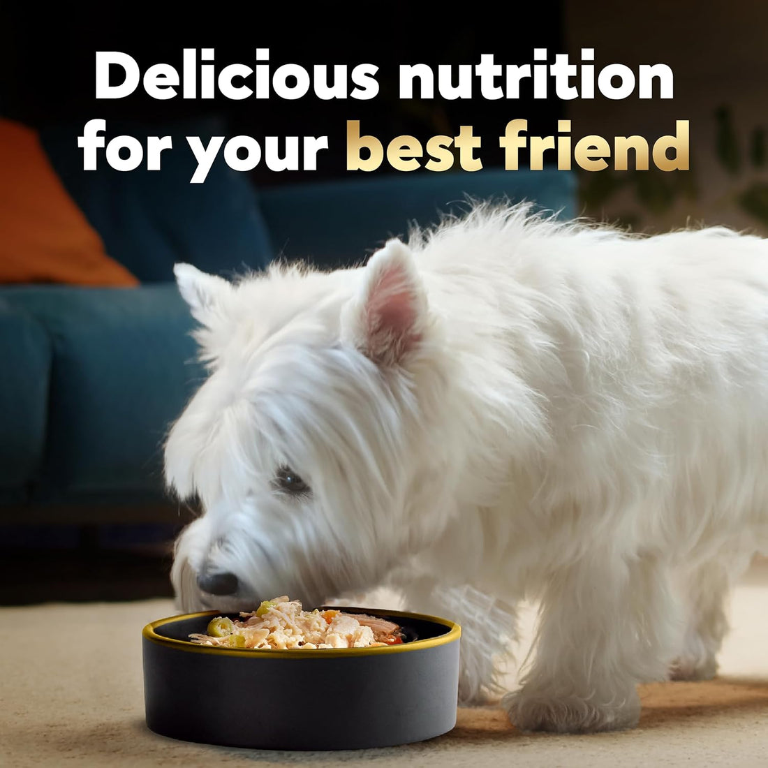 Cesar Wholesome Bowls Adult Wet Dog Food, Chicken Recipe and Chicken